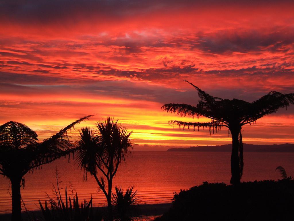 Adrift In Golden Bay- Absolute Beachfront Villas (Adults Only) Collingwood Rum bild