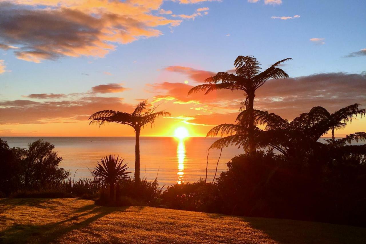 Adrift In Golden Bay- Absolute Beachfront Villas (Adults Only) Collingwood Exteriör bild